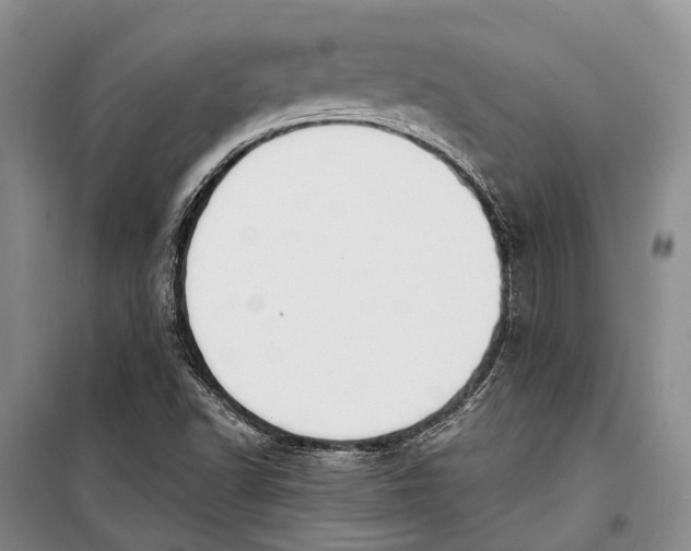 X0000098211502200805151240