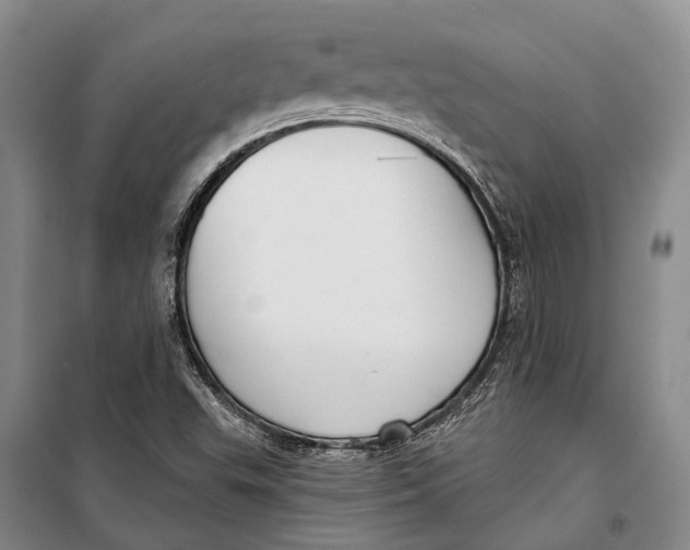 X0000098211503200805151240