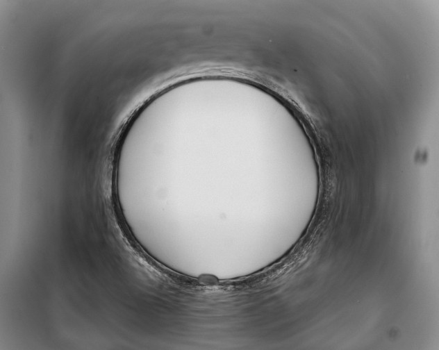 X0000098211504200805151240