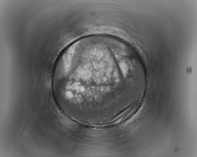 X0000098211505200805151240