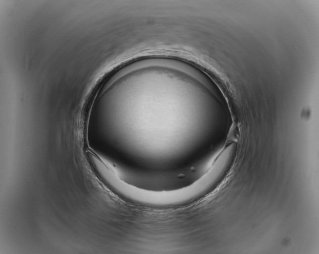 X0000098211506200805151240