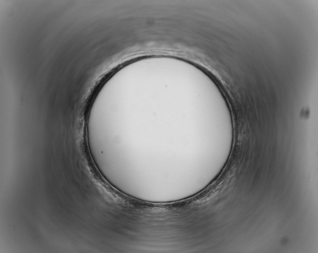 X0000098211507200805151240