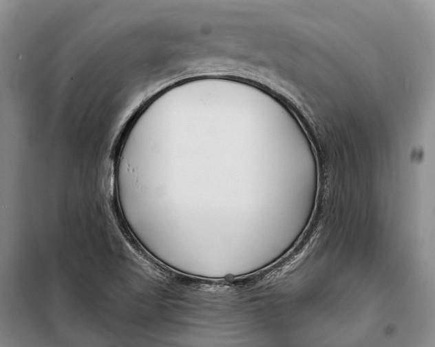 X0000098211509200805151240