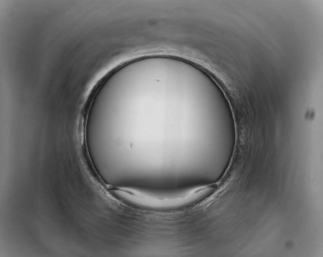 X0000098211510200805151240