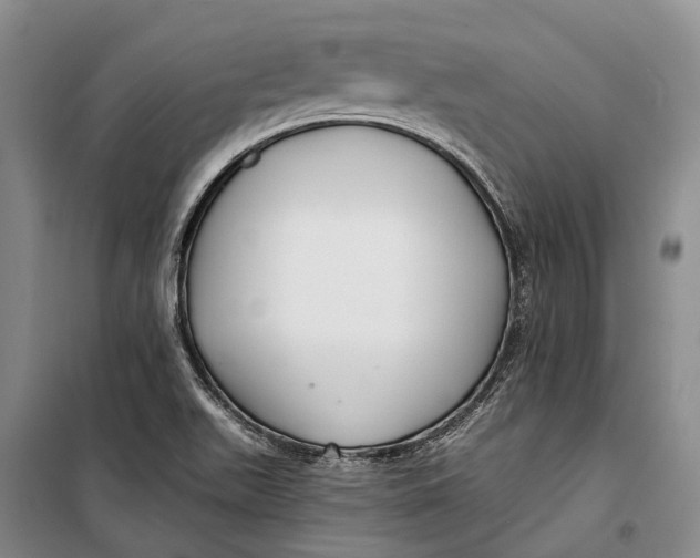 X0000098211511200805151240