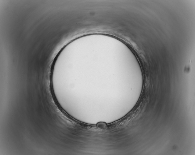 X0000098211512200805151240