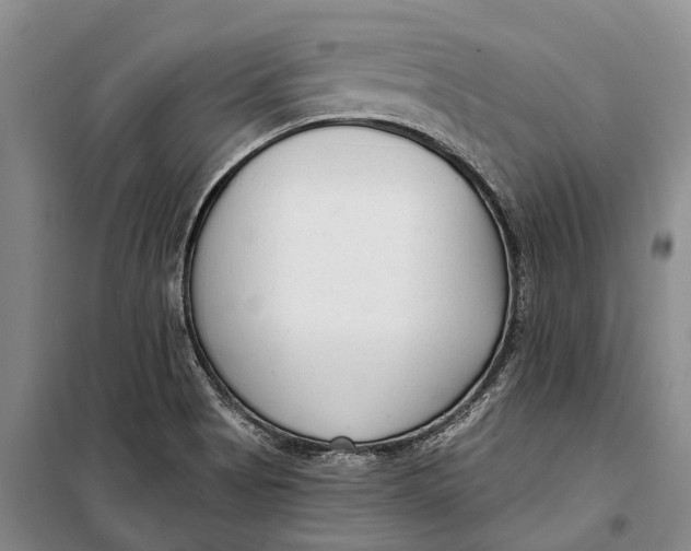 X0000098211513200805151240