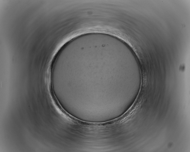 X0000098211515200805151240