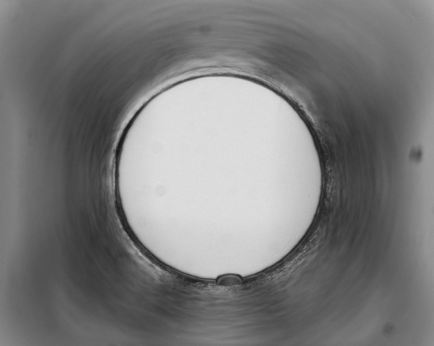 X0000098211516200805151240