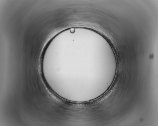 X0000098211517200805151240