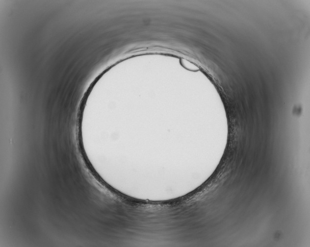 X0000098211518200805151240