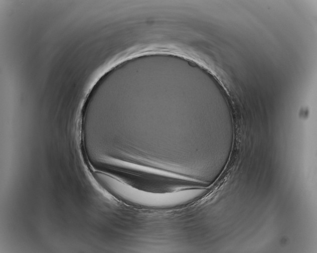 X0000098211519200805151240