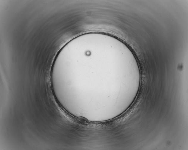 X0000098211521200805151240