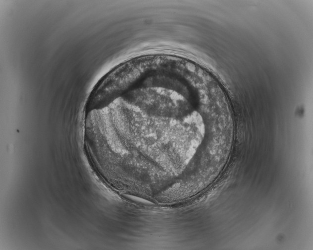 X0000098211522200805151240