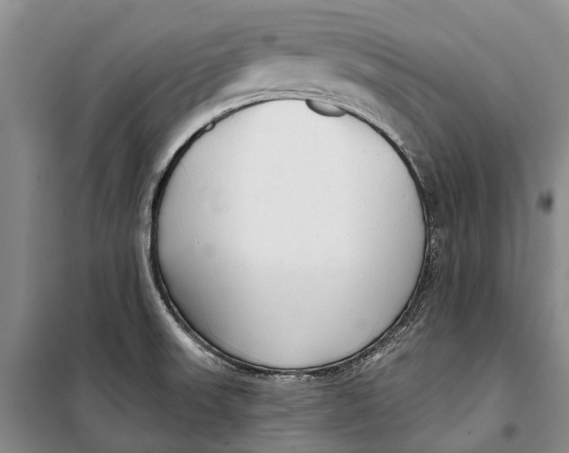 X0000098211523200805151240