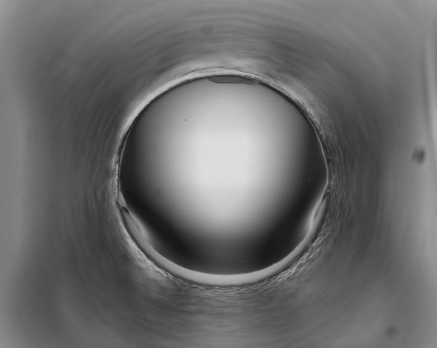 X0000098211524200805151240