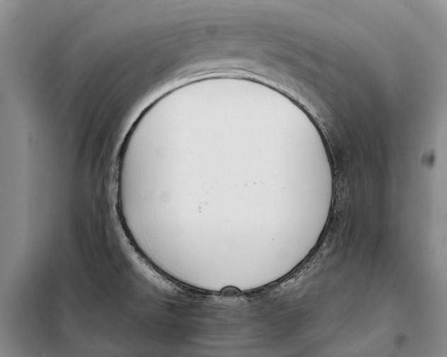 X0000098211526200805151240