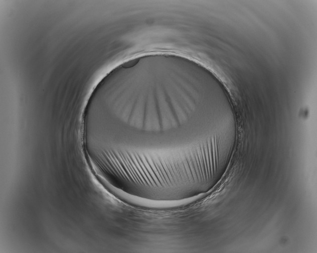 X0000098211527200805151240