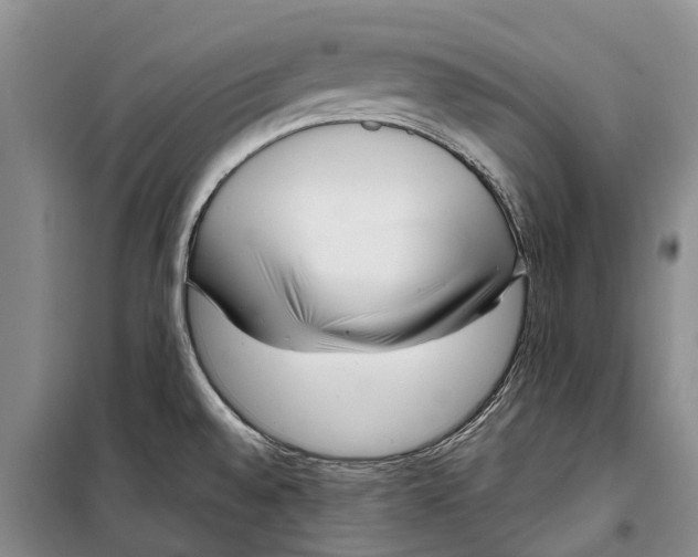 X0000098211528200805151240