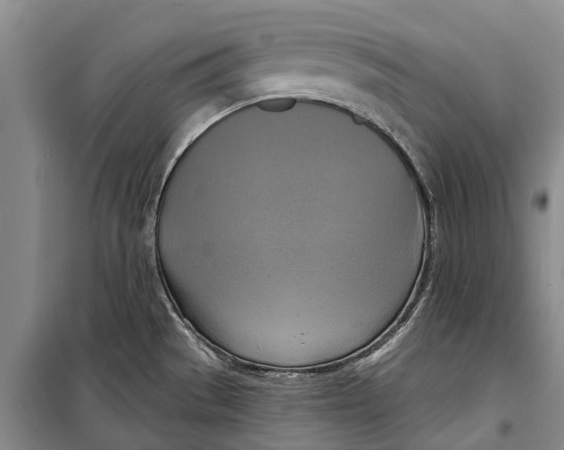X0000098211529200805151240