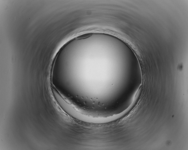 X0000098211530200805151240