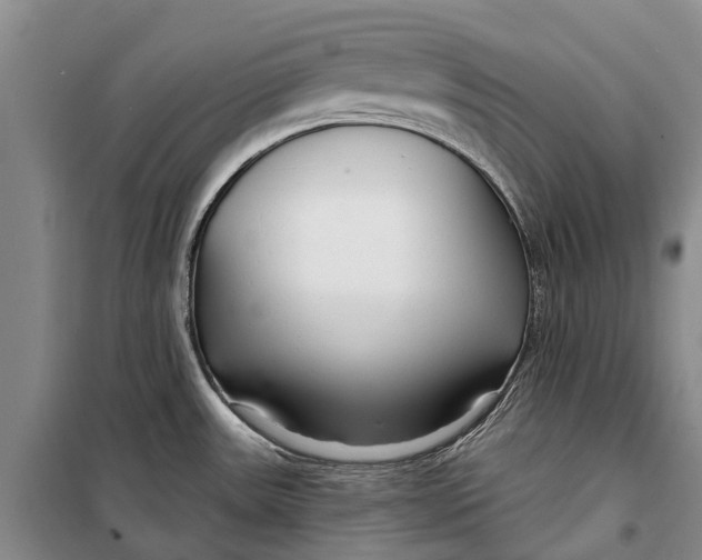 X0000098211531200805151240