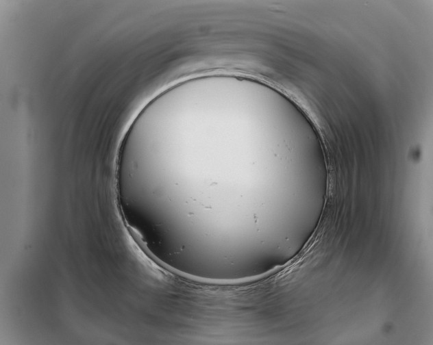 X0000098211532200805151240