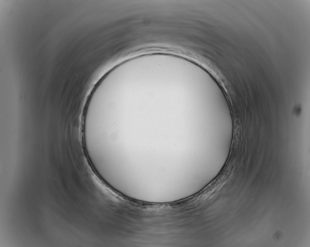 X0000098211535200805151240