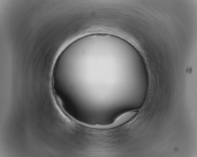 X0000098211536200805151240
