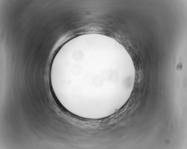 X0000098210004200805221637