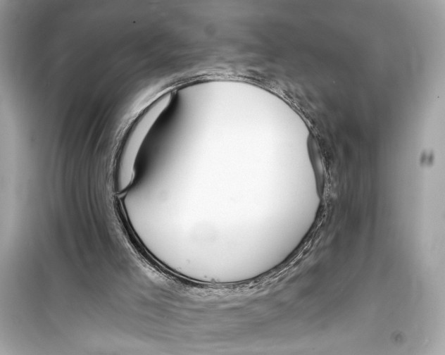 X0000098210005200805221637