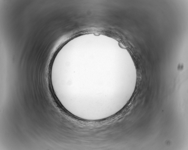 X0000098210006200805221637