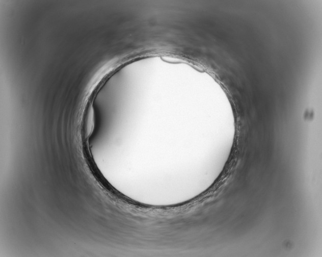 X0000098210007200805221637
