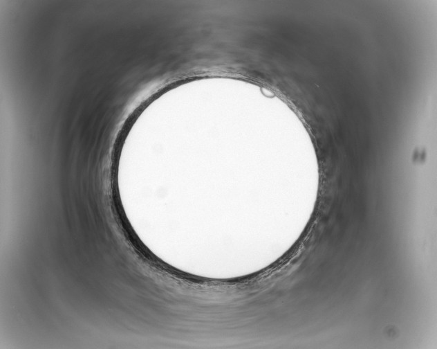 X0000098210008200805221637