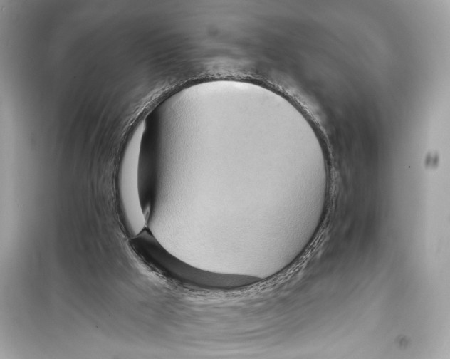 X0000098210009200805221637