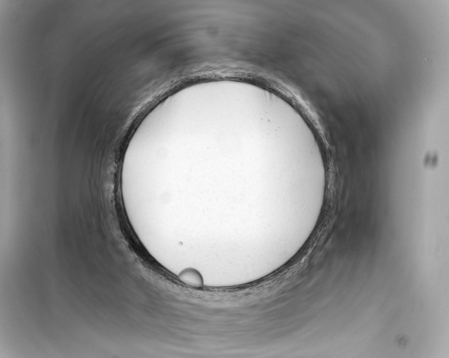 X0000098210010200805221637