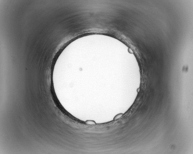 X0000098210011200805221637