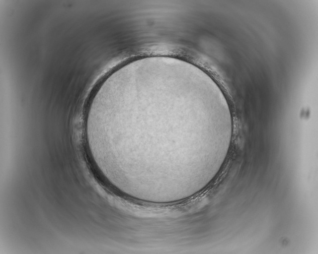 X0000098210012200805221637
