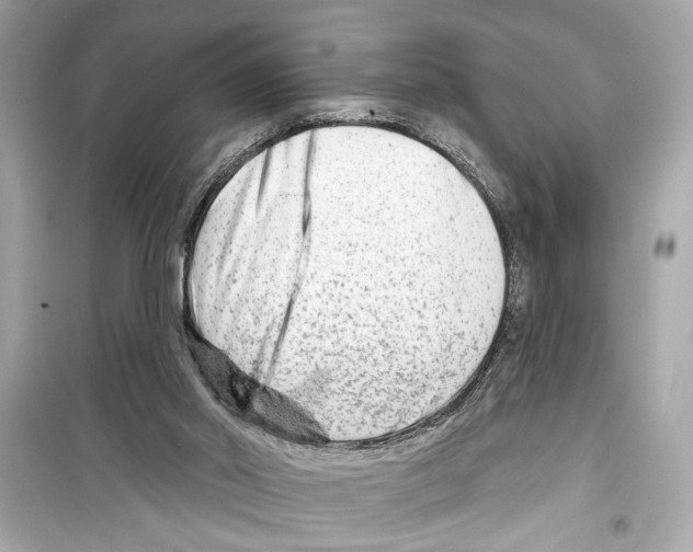 X0000098210014200805221637