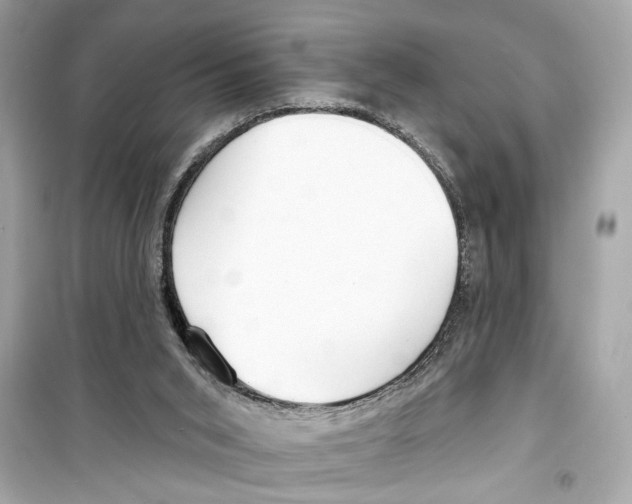 X0000098210015200805221637