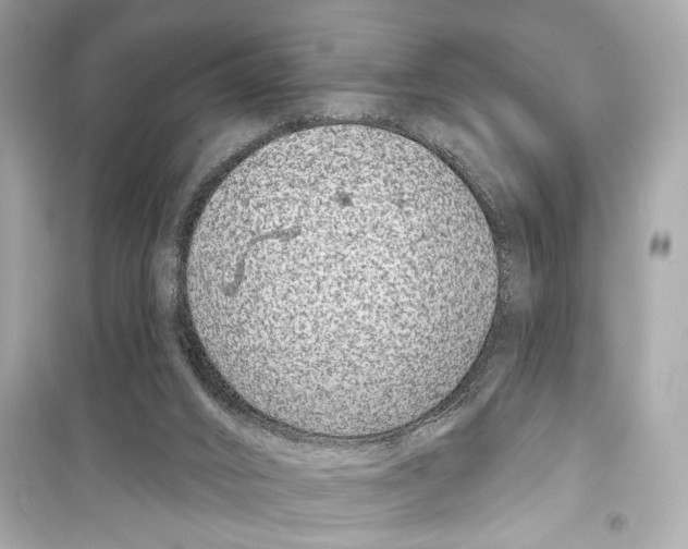 X0000098210016200805221637