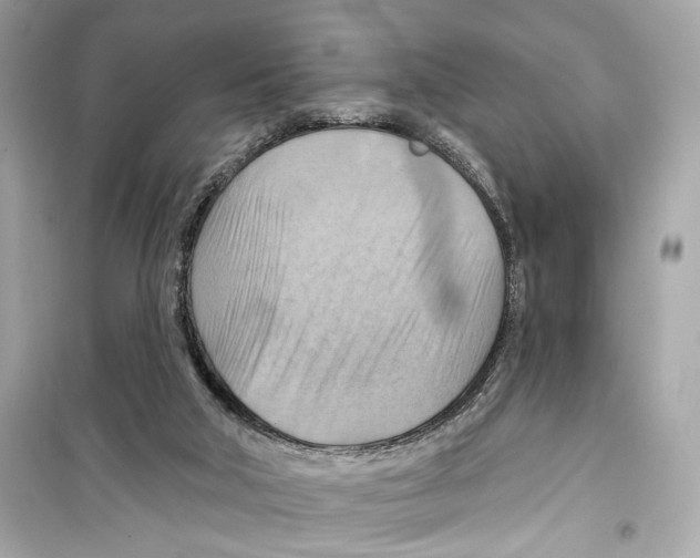 X0000098210018200805221637