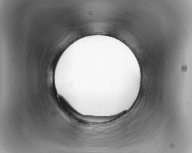 X0000098210021200805221637