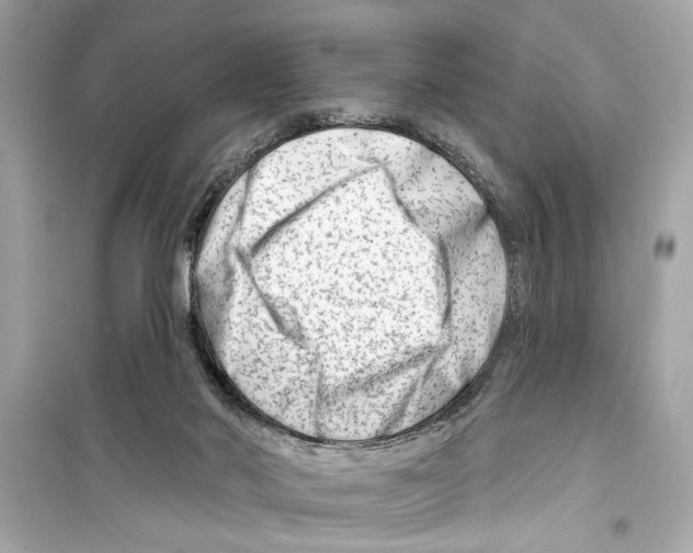X0000098210022200805221637