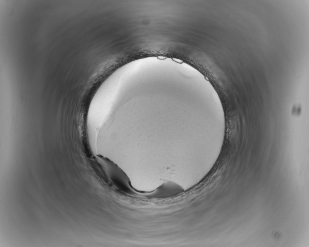 X0000098210023200805221637