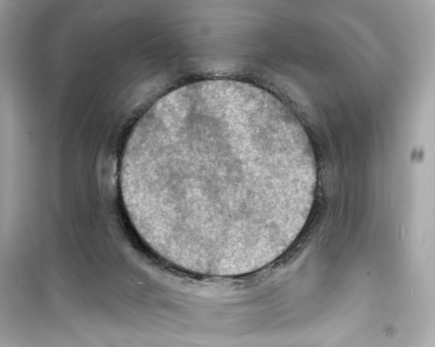 X0000098210024200805221637