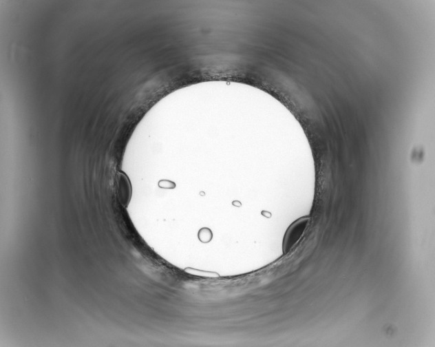 X0000098210025200805221637