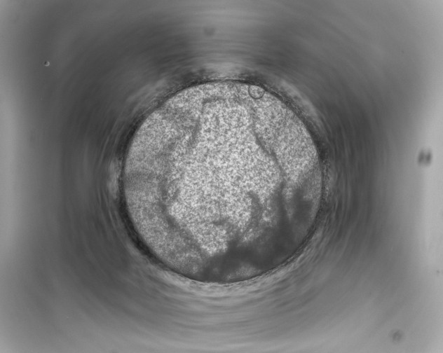 X0000098210026200805221637