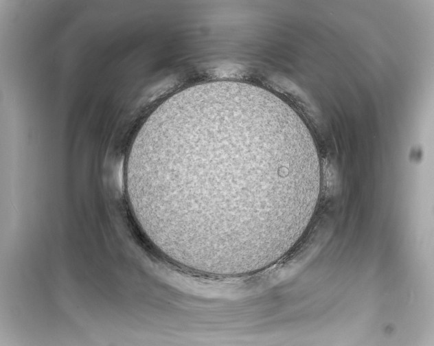 X0000098210028200805221637