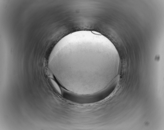 X0000098210029200805221637